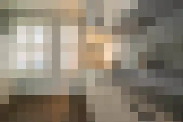 Canneveltstraat 27 Vollenhove thumbnail 4