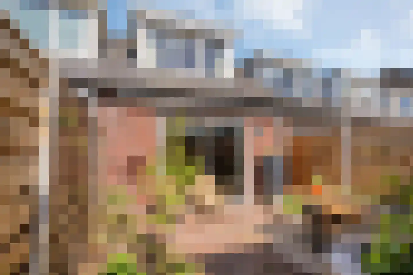 Canneveltstraat 9 Zwolle thumbnail 30