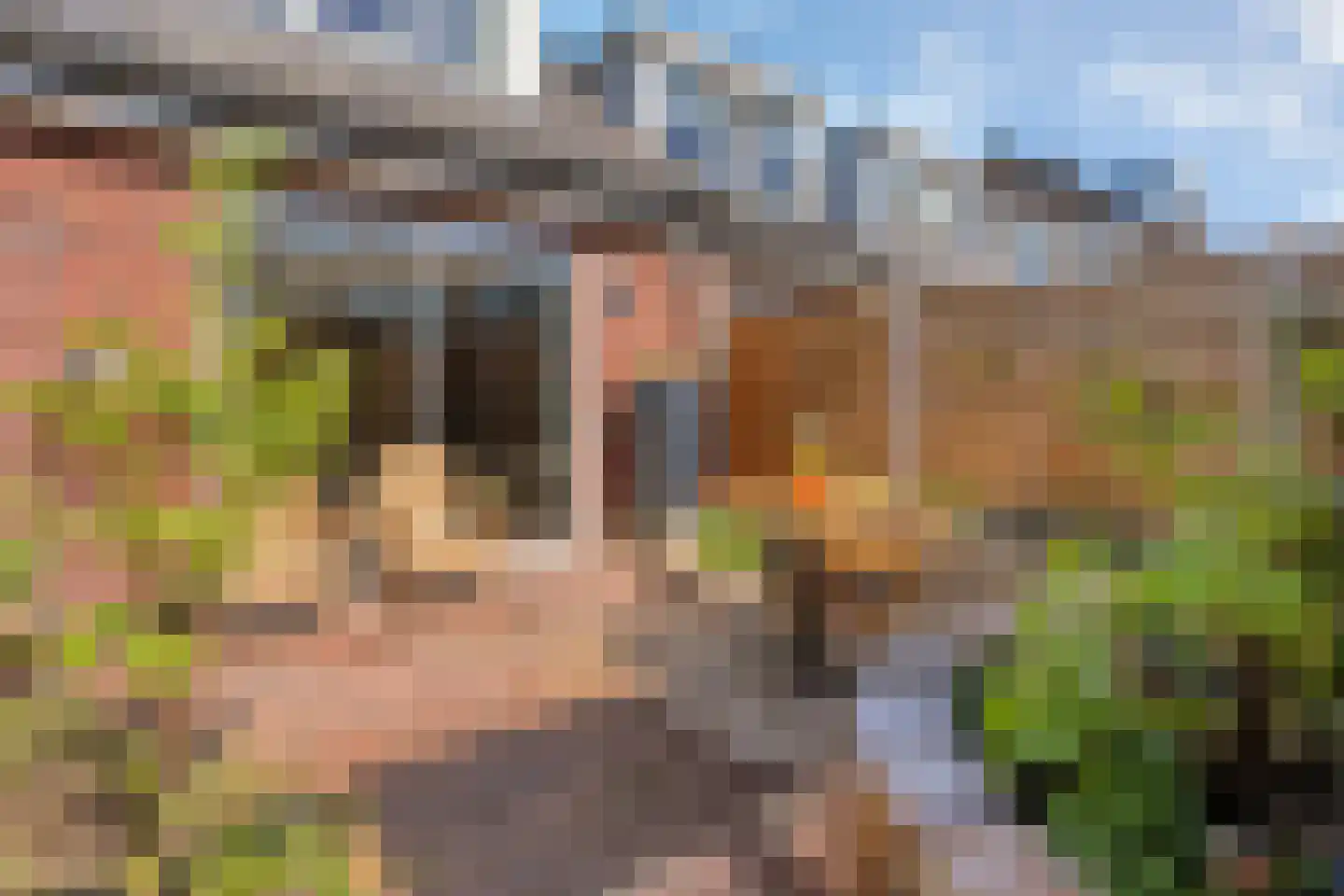 Canneveltstraat 9 Zwolle thumbnail 31