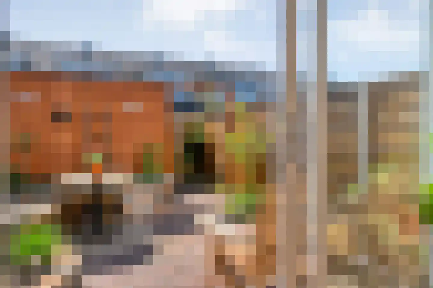 Canneveltstraat 9 Zwolle thumbnail 32