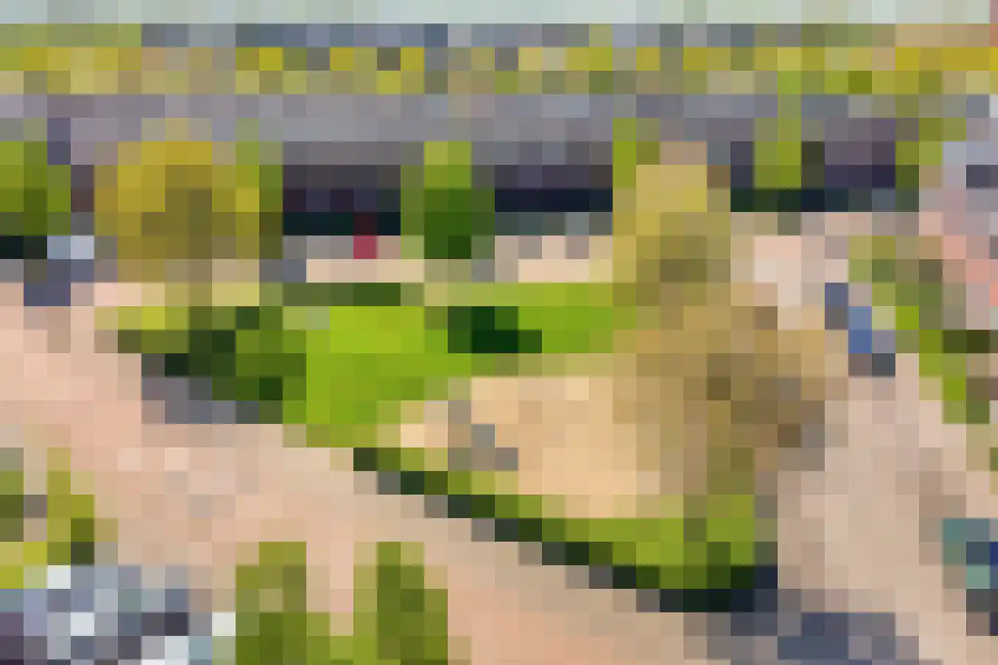 Canneveltstraat 9 Zwolle thumbnail 6