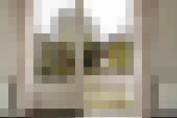 Canopus 6 Hoogeveen thumbnail 10