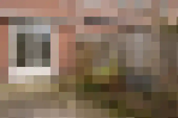 Canopus 6 Hoogeveen thumbnail 11