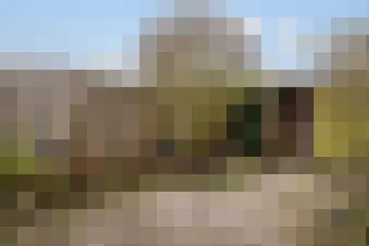 Canopus 6 Hoogeveen thumbnail 12