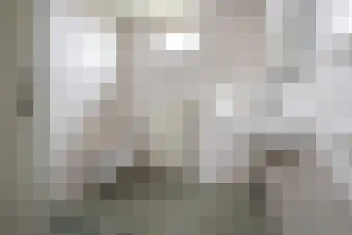 Canopus 6 Hoogeveen thumbnail 18