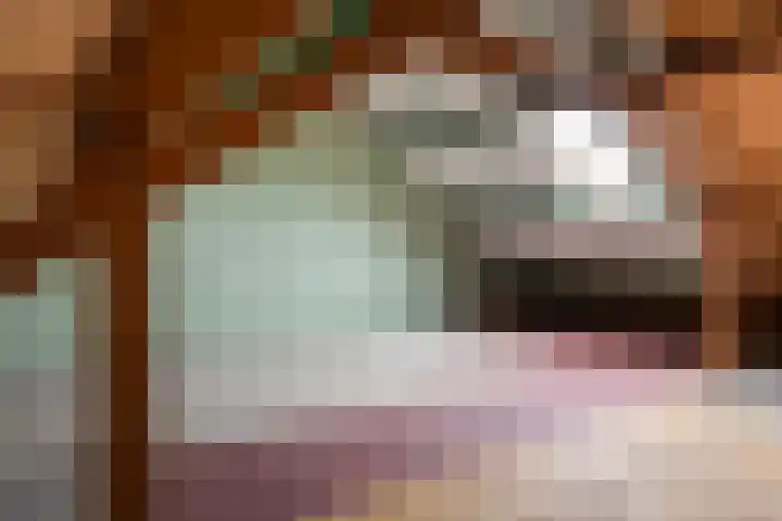 Canopus 6 Hoogeveen thumbnail 20