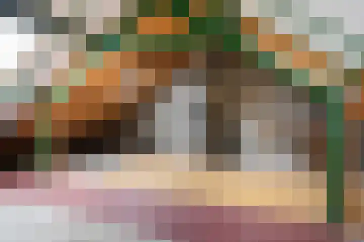 Canopus 6 Hoogeveen thumbnail 21