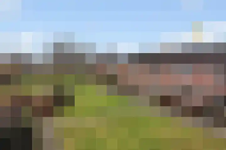 Canopus 6 Hoogeveen thumbnail 27