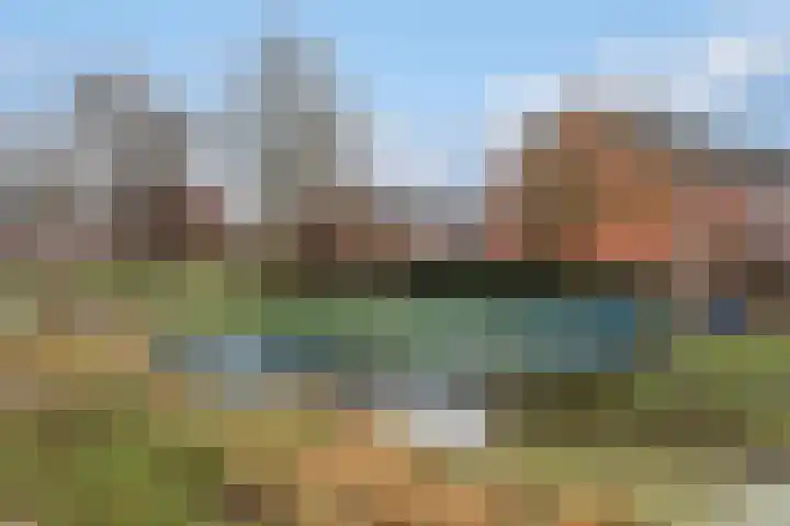 Canopus 6 Hoogeveen thumbnail 29