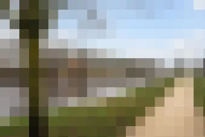 Canopus 6 Hoogeveen thumbnail 30