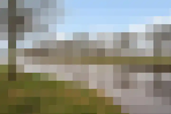 Canopus 6 Hoogeveen thumbnail 31