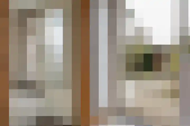 Canopus 6 Hoogeveen thumbnail 6