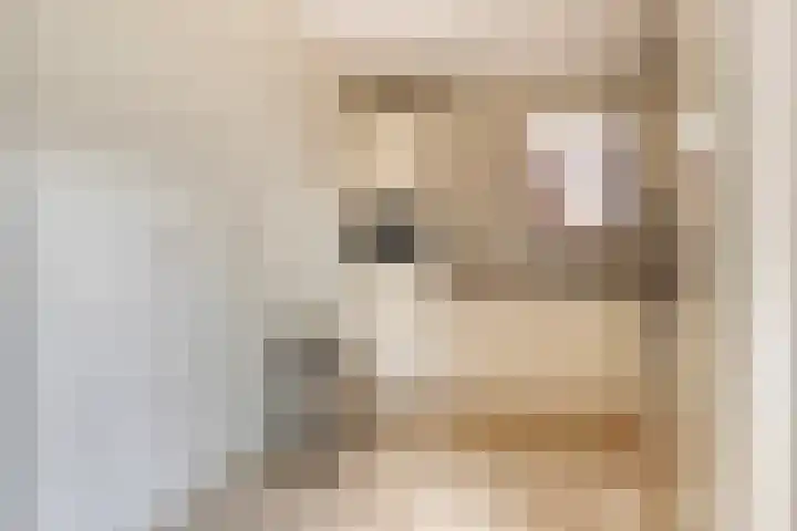 Canopuslaan 3 Eindhoven thumbnail 12
