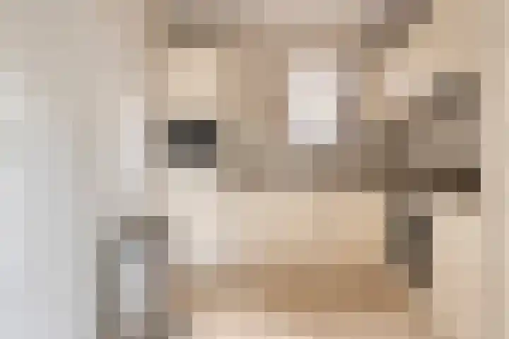 Canopuslaan 3 Eindhoven thumbnail 13
