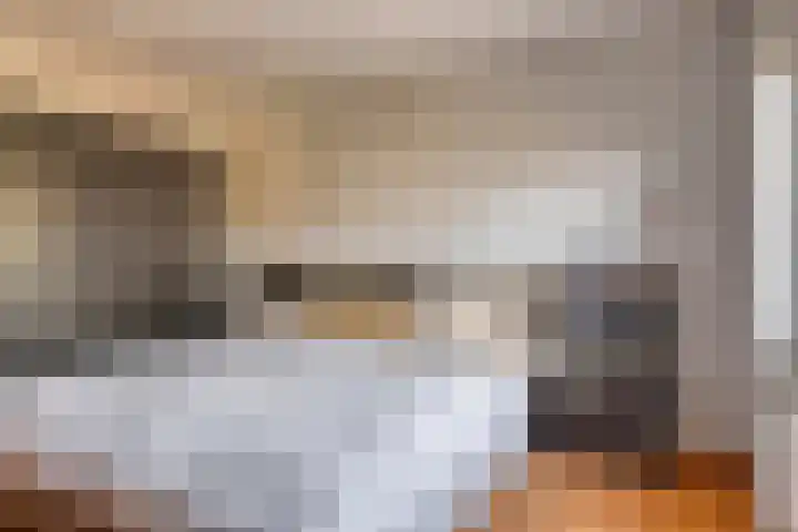 Canopuslaan 3 Eindhoven thumbnail 17