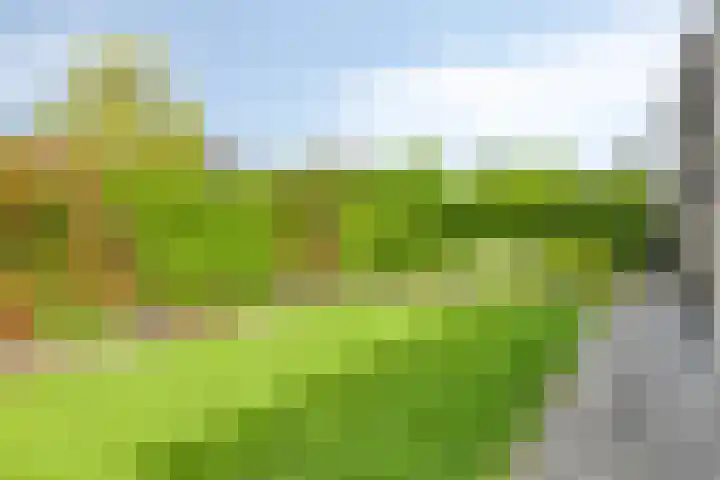 Canopuslaan 3 Eindhoven thumbnail 28