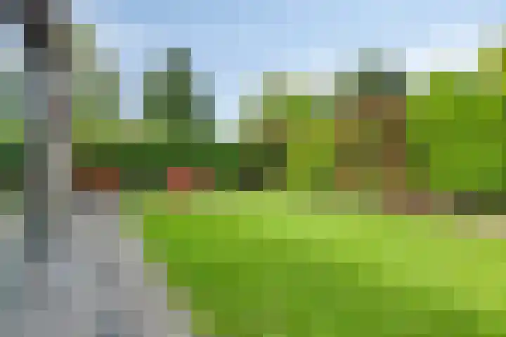 Canopuslaan 3 Eindhoven thumbnail 29