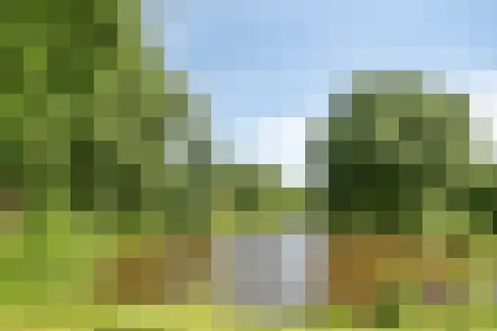 Canopuslaan 3 Eindhoven thumbnail 33