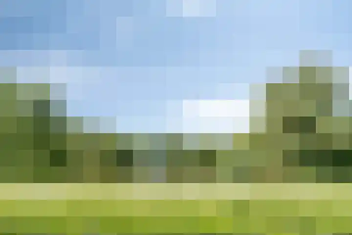 Canopuslaan 3 Eindhoven thumbnail 34