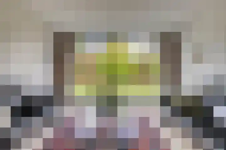 Canopuslaan 3 Eindhoven thumbnail 6