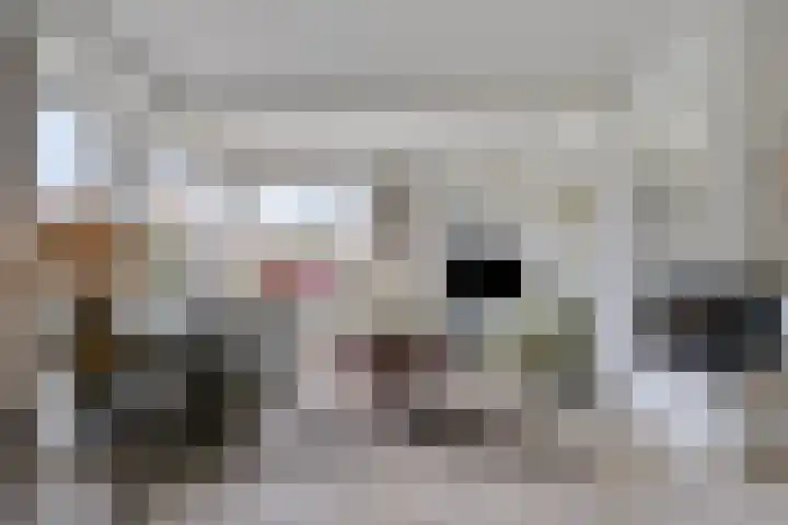 Canopuslaan 32 Eindhoven thumbnail 11
