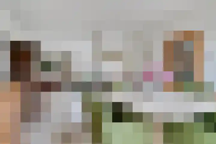Canopuslaan 32 Eindhoven thumbnail 16