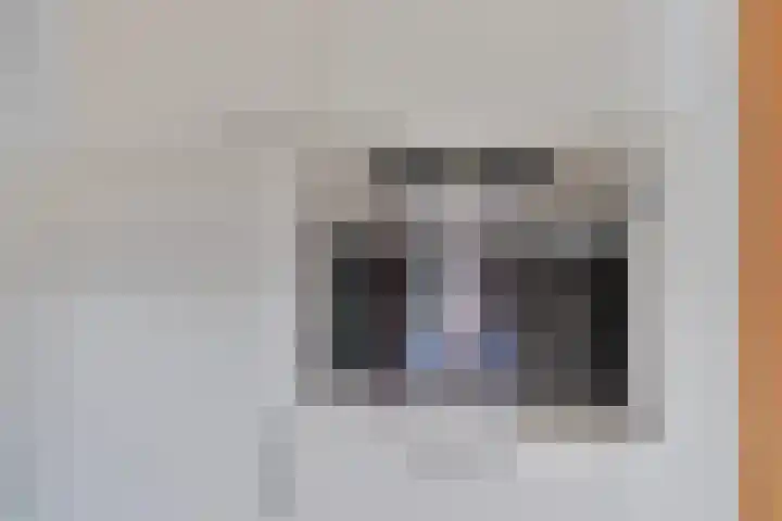 Canopuslaan 32 Eindhoven thumbnail 21