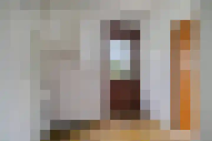 Canopuslaan 32 Eindhoven thumbnail 23