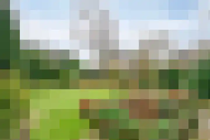 Canopuslaan 32 Eindhoven thumbnail 24