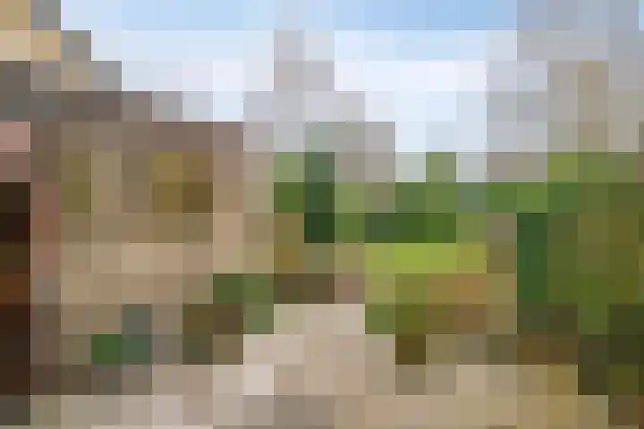 Canopuslaan 32 Eindhoven thumbnail 25