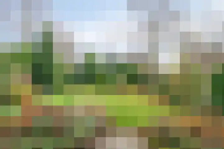Canopuslaan 32 Eindhoven thumbnail 26