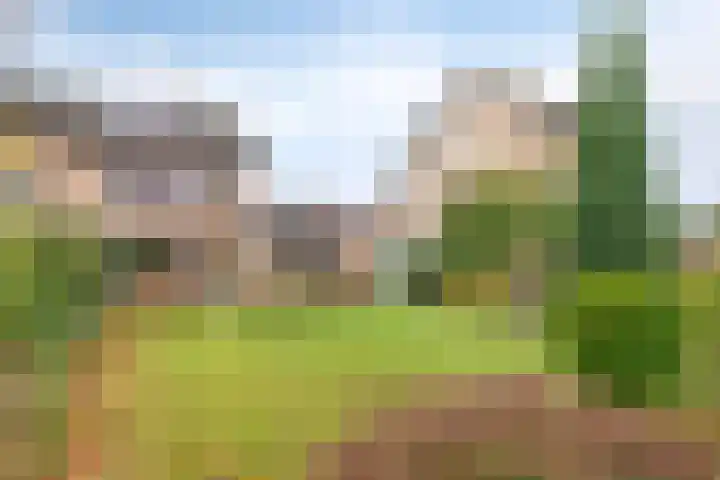 Canopuslaan 32 Eindhoven thumbnail 27