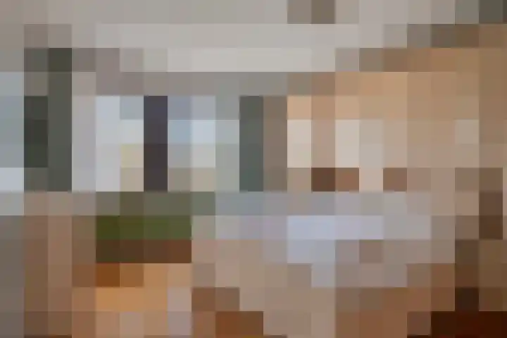 Canopuslaan 32 Eindhoven thumbnail 31