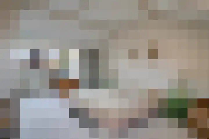 Canopuslaan 32 Eindhoven thumbnail 40