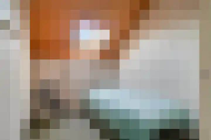 Canopuslaan 32 Eindhoven thumbnail 42