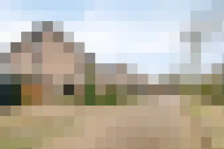 Canopuslaan 32 Eindhoven thumbnail 45