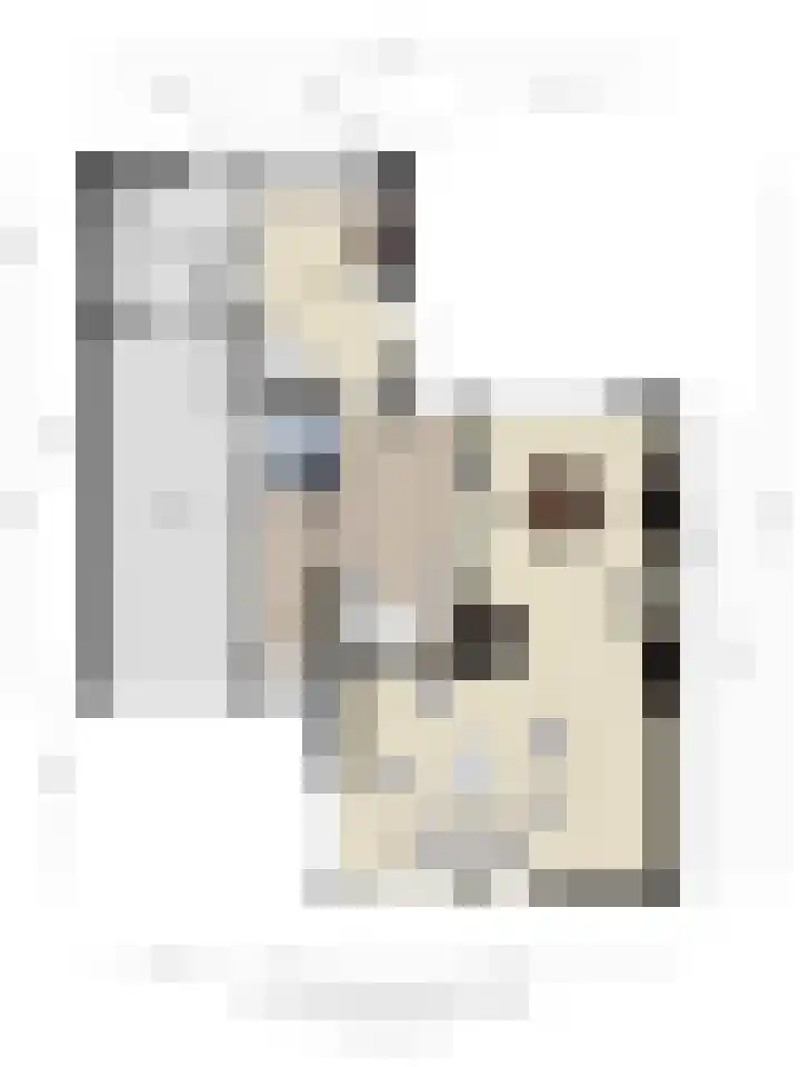 Canopuslaan 32 Eindhoven thumbnail 47