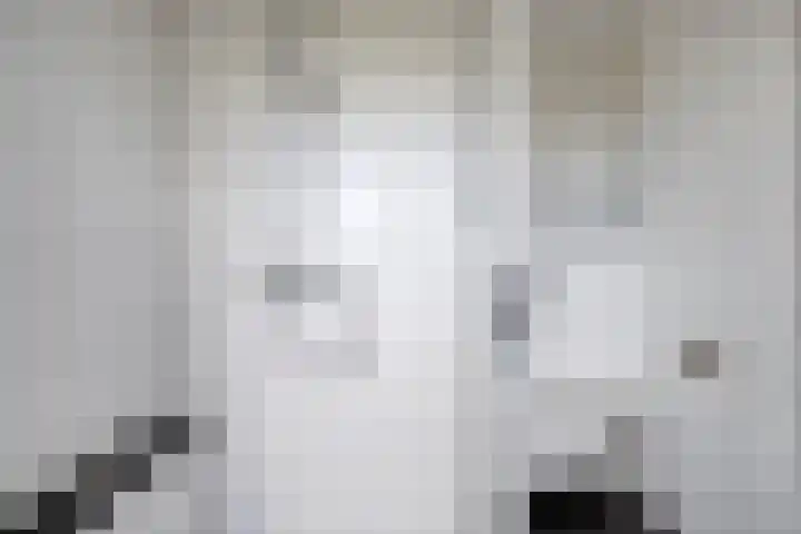 Cantabriëstraat 29 Lent thumbnail 31