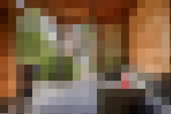 Cantabriëstraat 29 Lent thumbnail 36