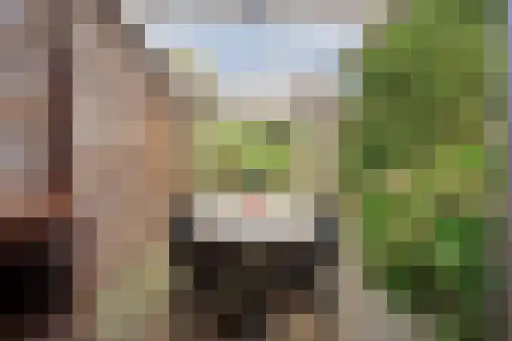 Cantabriëstraat 29 Lent thumbnail 37