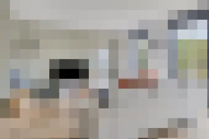 Cantabriëstraat 29 Lent thumbnail 7
