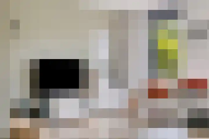 Cantabriëstraat 29 Lent thumbnail 8