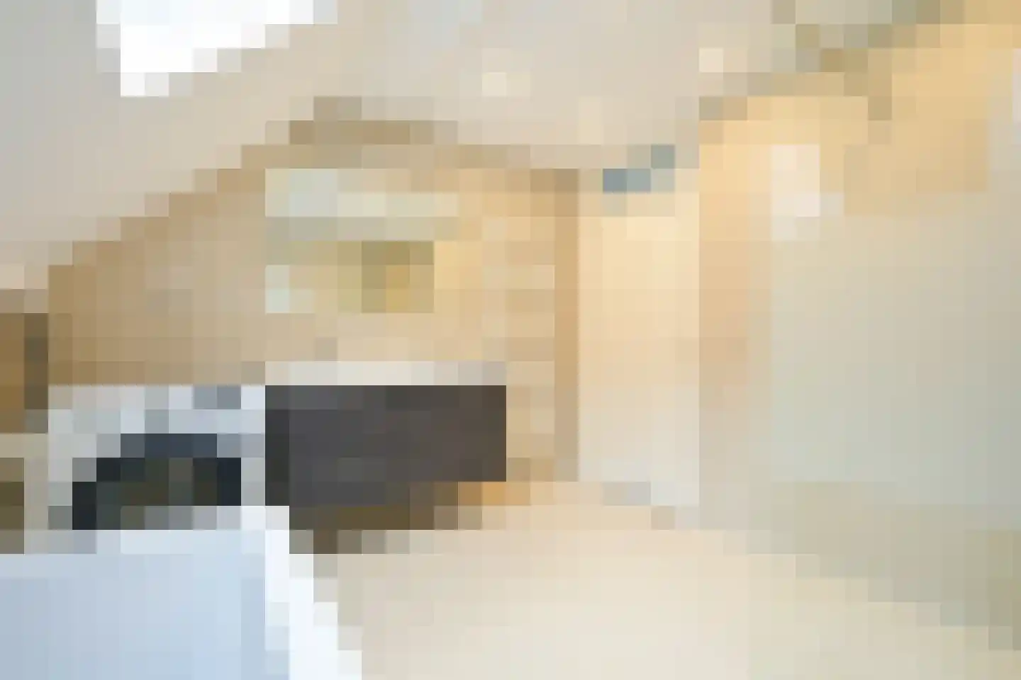 Cantaloupenburg 2 Den Haag thumbnail 34