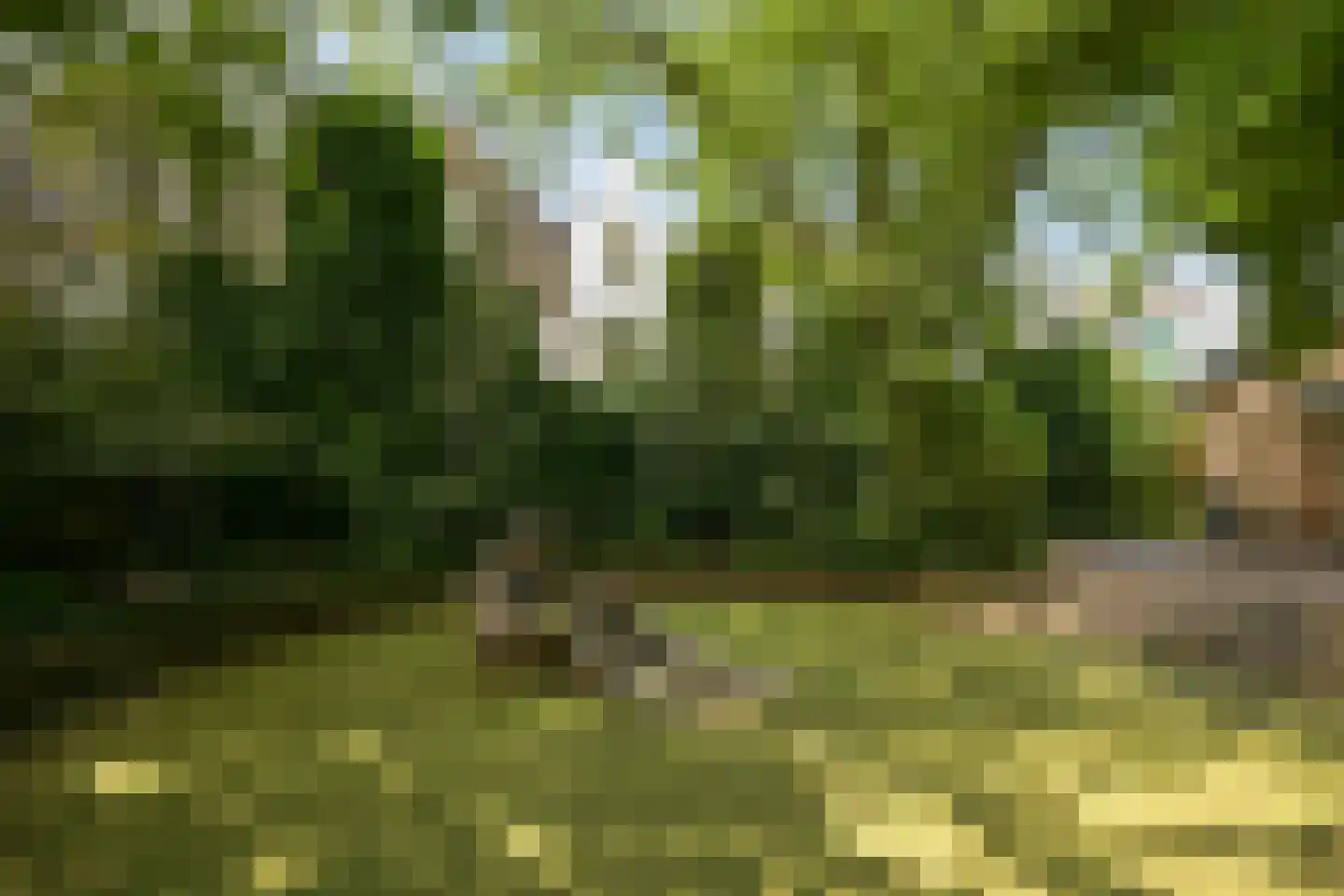 Cantaloupenburg 2 Den Haag thumbnail 38