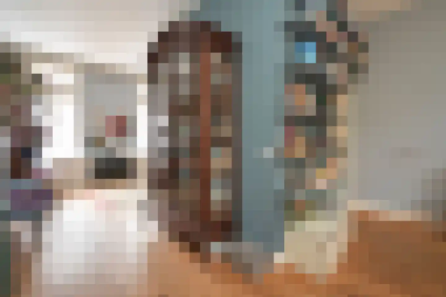 Cantaloupenburg 26 Den Haag thumbnail 12