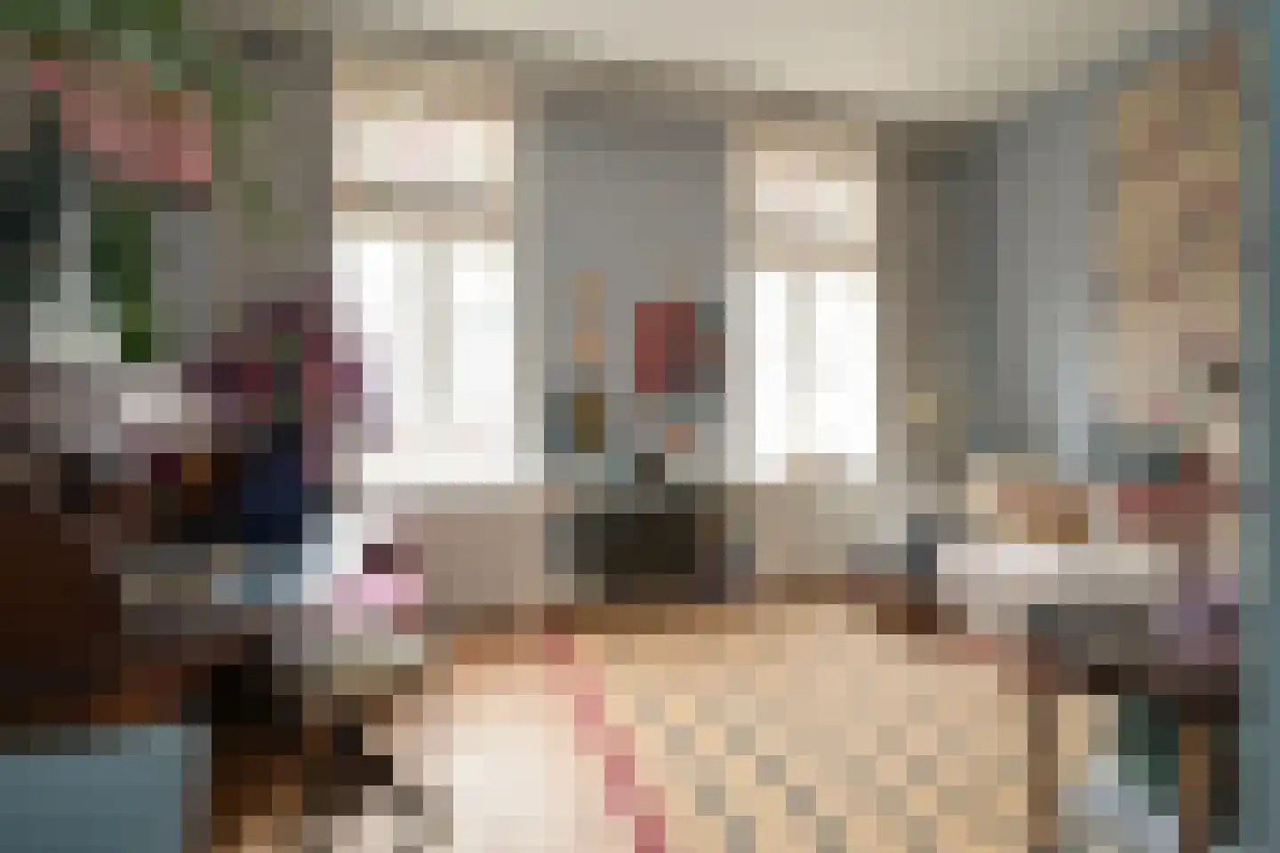 Cantaloupenburg 26 Den Haag thumbnail 14