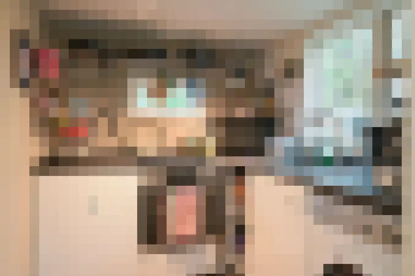 Cantaloupenburg 26 Den Haag thumbnail 18