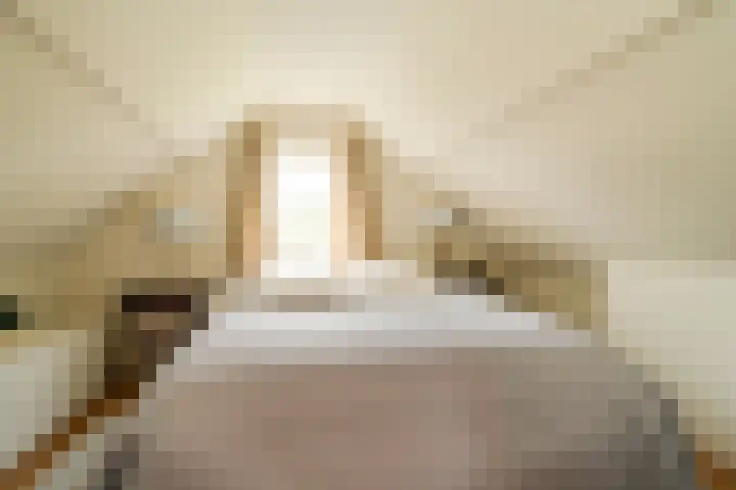 Cantaloupenburg 26 Den Haag thumbnail 23