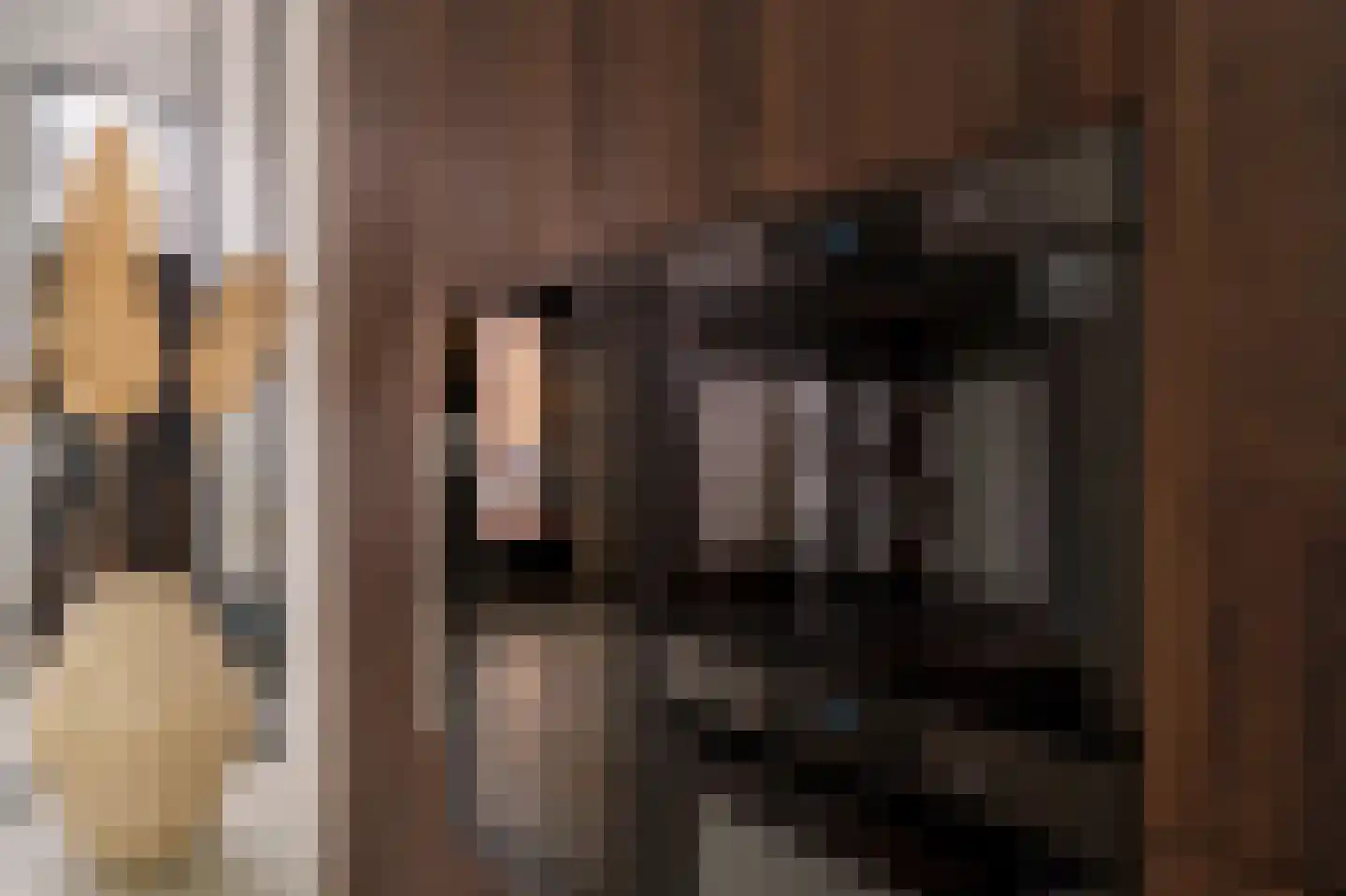 Cantaloupenburg 42 Den Haag thumbnail 18