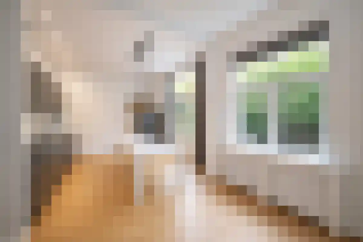 Cantaloupenburg 60 B Den Haag thumbnail 4